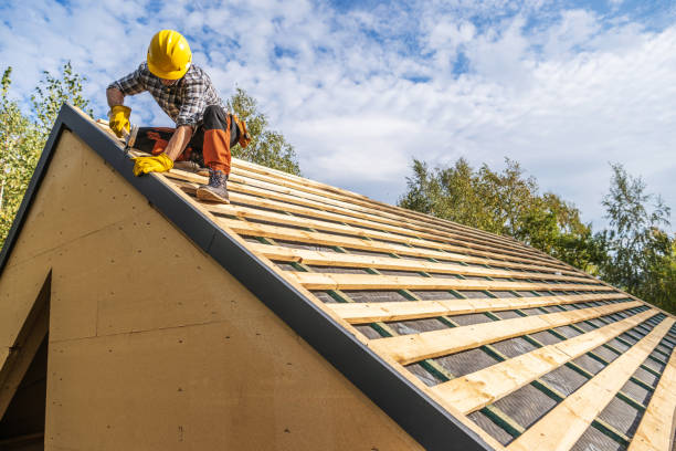 Best Roof Gutter Cleaning  in Lake Lorraine, FL